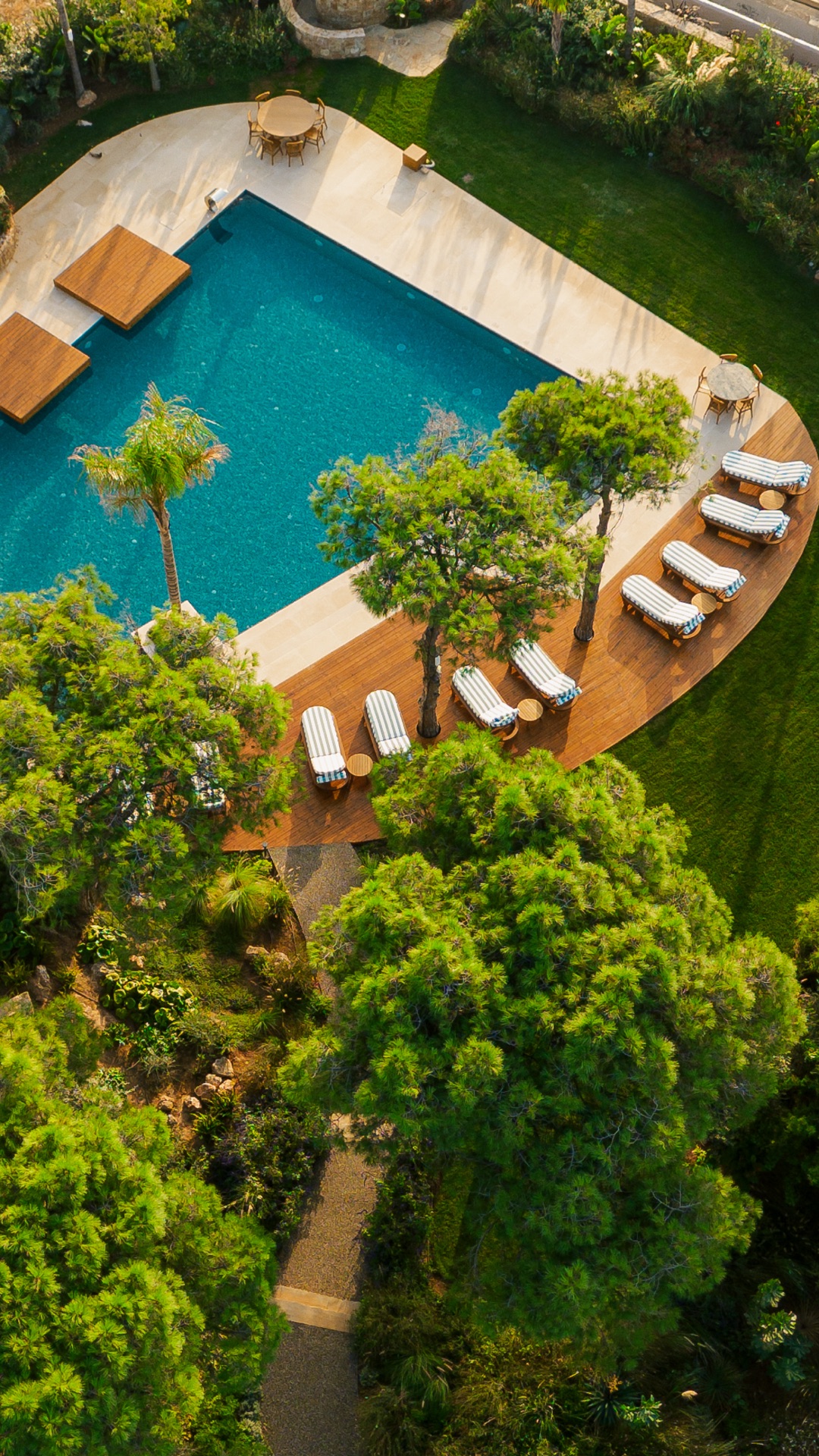 Aerial of the curved pool deck and sun loungers, gardens around