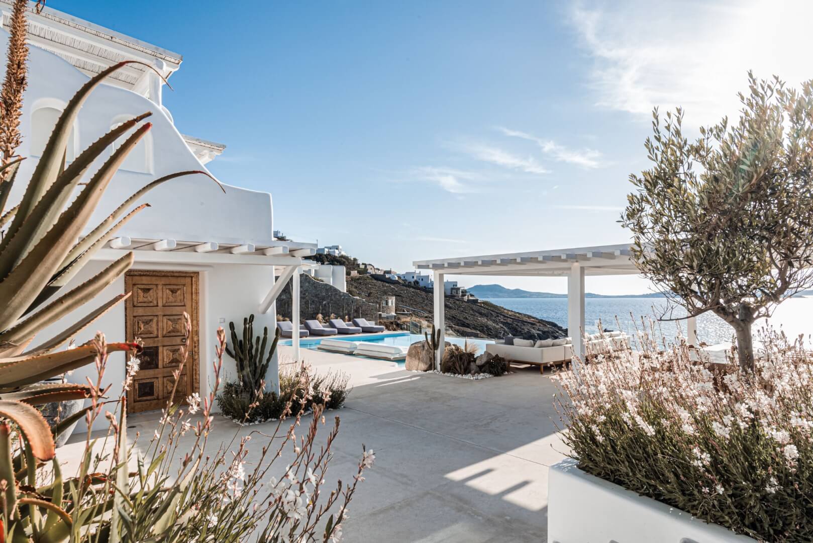 Pergola and pool framed by cacti and flowering plants